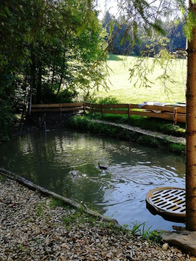Ferienhaus Am Waldrand Von Egg Bregenzer Wald Luaran gambar