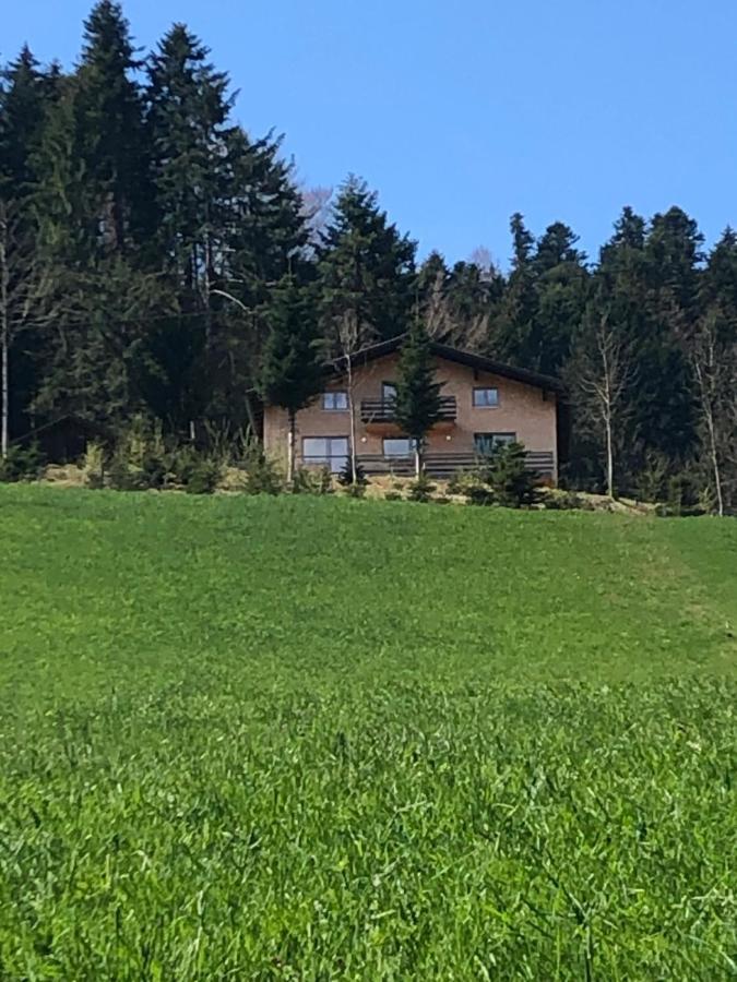 Ferienhaus Am Waldrand Von Egg Bregenzer Wald Luaran gambar