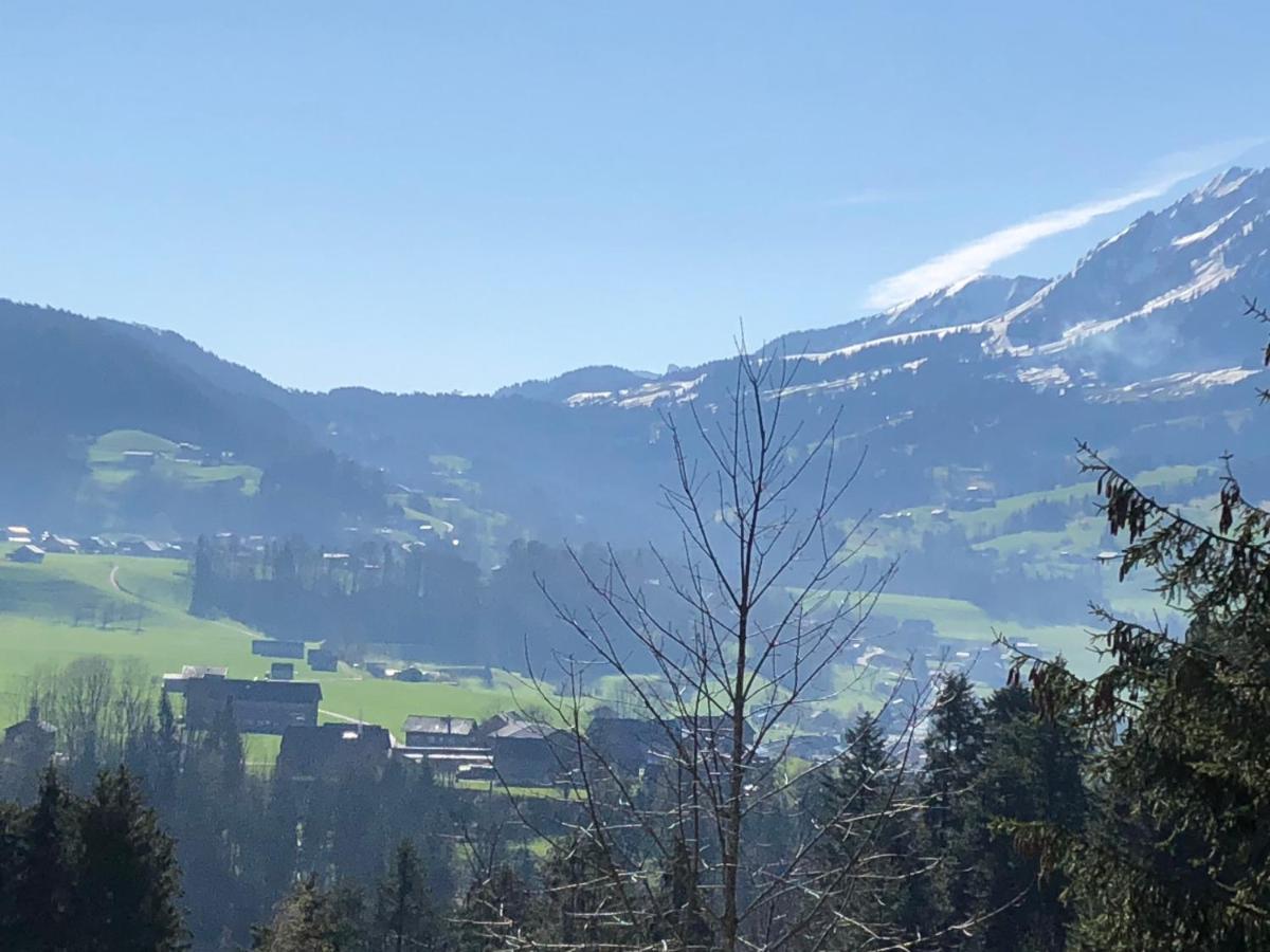 Ferienhaus Am Waldrand Von Egg Bregenzer Wald Luaran gambar
