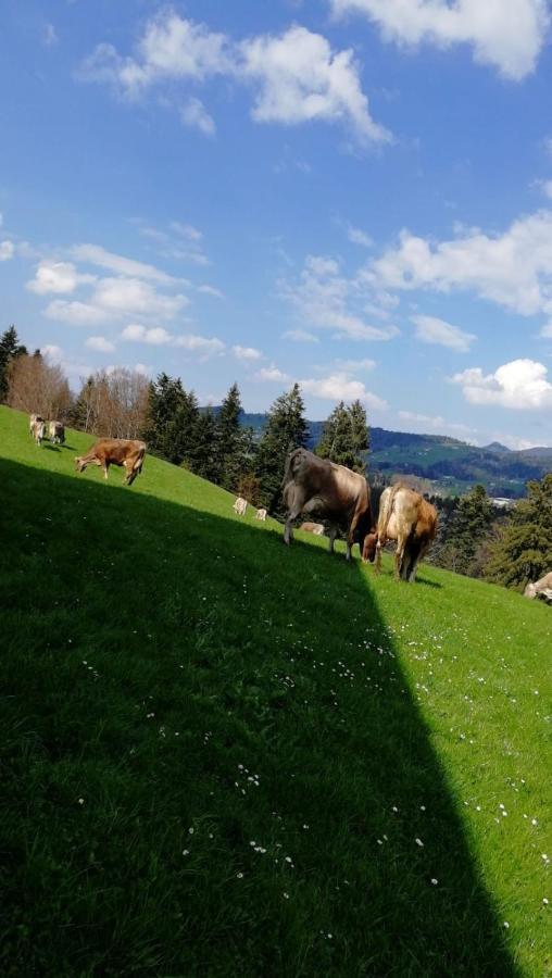 Ferienhaus Am Waldrand Von Egg Bregenzer Wald Luaran gambar